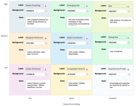 Sample Successfactors Rbp Matrix Configuring SAP SuccessFactors Calibration Part II – Instance Set Up ...